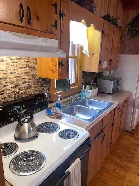 Cozy Cabin: River View With Hot Tub ดาห์ลอนีกา ภายนอก รูปภาพ